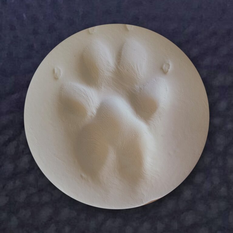 Clay paw print impression made at the visit